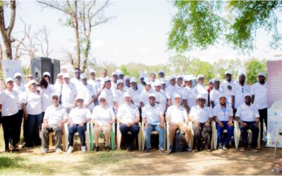 DIDIDA in action: community, culture and digital health in Chekereni